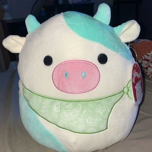 Belana squishmallow